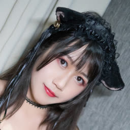 不呆猫
